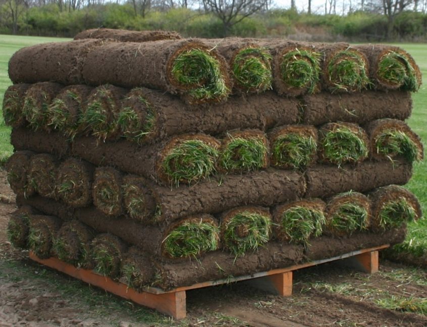 sod-rolls-sod-delivery-sod-grass-sod-for-sale-sod-prices-hartford-wi